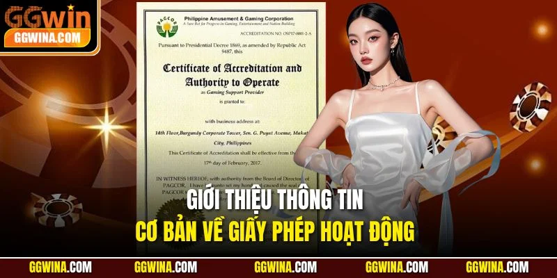 Giới thiệu thông tin cơ bản về giấy phép hoạt động